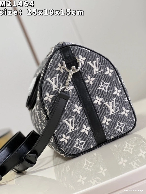 AAA Replica Ru BANDOULIÈRE LOUIS VUITTON 25 SPEEDY 0824